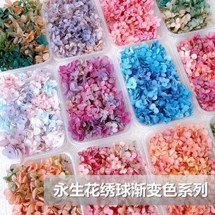 ����������u׃ɫ�ֹ�diy�ɻ���Ь�NĘ�����ֻ����F����ӻ�ˇ�n*