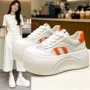 增高新款厚底百搭小白鞋