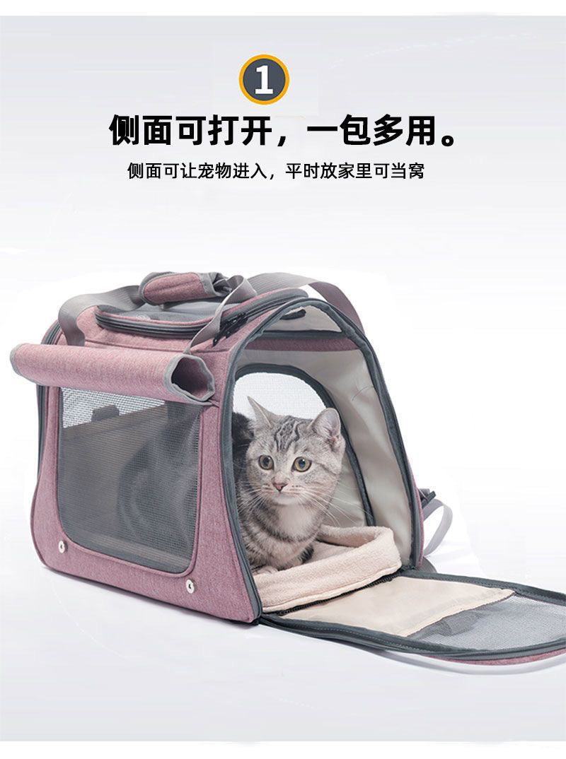 99a0182a-7281-45eb-842a-6304ca45fe21.jpe