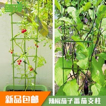 番茄西紅柿聖女果架子爬藤植物攀爬支架多層伸縮花架可調大小組裝