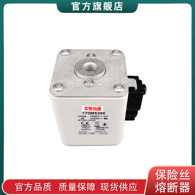 170M5308 170M5309 170M5310 170M5311 美国bussmann快速熔断器