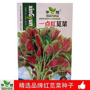 �{�˷N�ӾG�{�˷N��һ�c�t�{�˷N�����ԷN���r����@�ײ�Ұ�˷N��