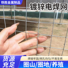 建築工地保溫抹牆網鍍鋅電焊網金屬焊接方孔養殖圍欄電焊網鐵絲網
