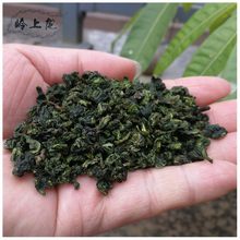 新茶 青茶 清香型铁观音散装茶叶宾馆酒店棋牌室免费用茶一件代发