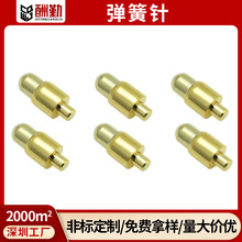 �����pogopin�������܇��늽��|�B�����쾀����̖�����