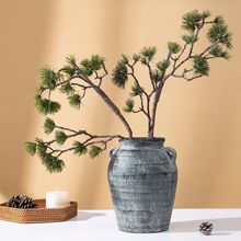 ѩ��ӭ���ɷ���ֲ�������֦�٘�֦��ʽ�Ҿ��b�廨�������°�