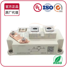 ȫIGBTģKSKM500GA123D SKM500GA123D. SKM500GA123