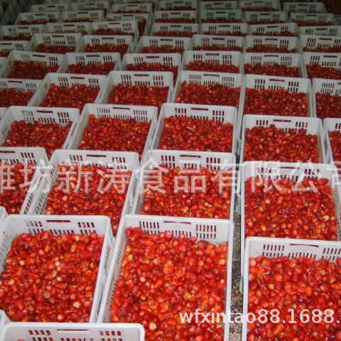 潍坊新涛食品加工速冻草莓果（资质工厂、常年供货）