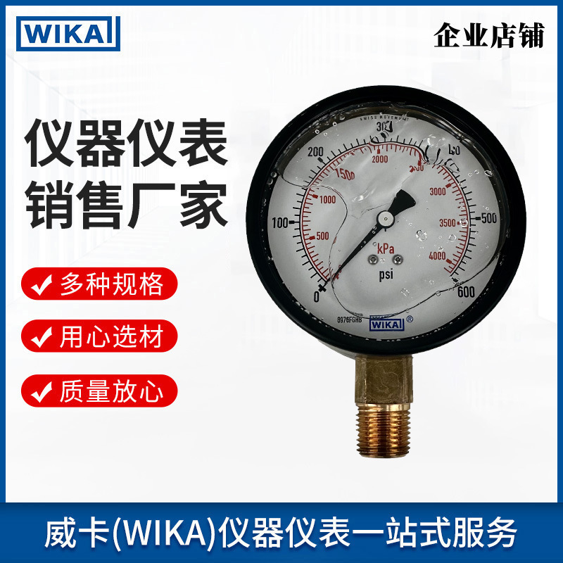威卡wika波登管压力表高精度测量工业通用213.40.100压力表