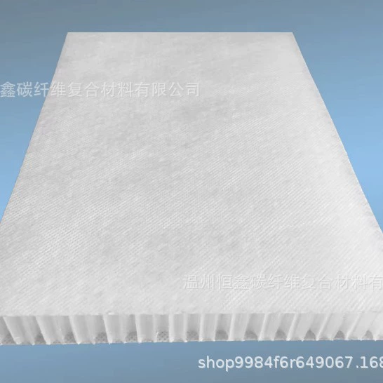 Сотовая панель из полипропилена, сотовый сердечник из полипропилена для автофургонов, грузовик-яхт, 4–100 мм опционально