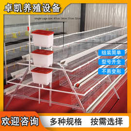 家用养殖场专用自动化设备阶梯蛋鸡笼可定制材质加固耐用可批发