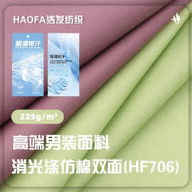 涤仿棉双面 225g涤氨全消光冰丝弹力面料 春夏防晒服瑜伽服布料