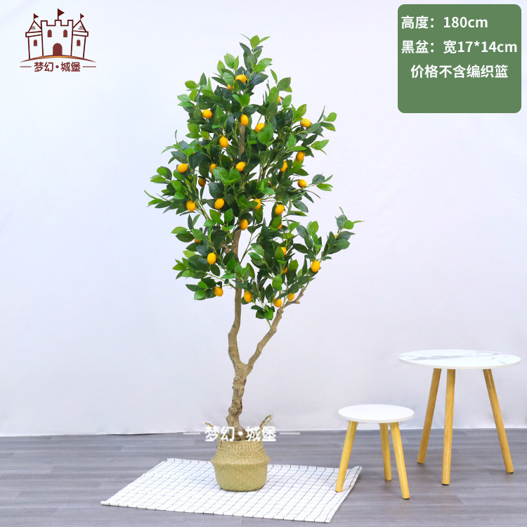 Árbol de limón 180CM