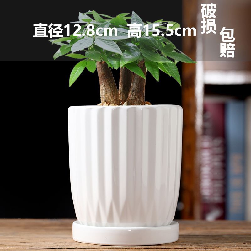 Pure white straight beam of light (ceramic tray integrated)