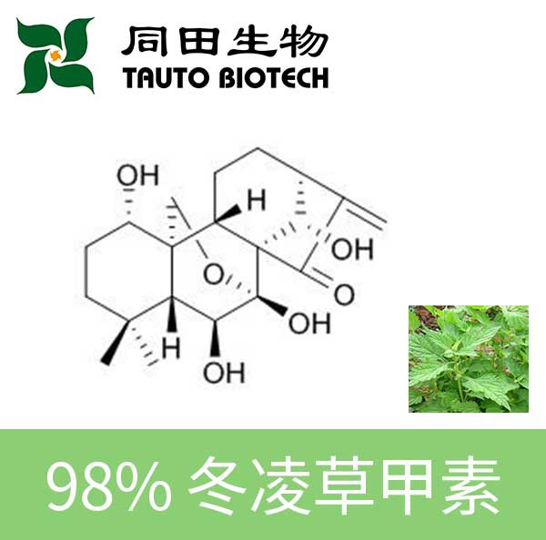 上海同田98%高品质冬凌草甲素28957-04-2 1g-100kg源头厂家批发
