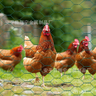 �羳PVC���ǾW�u�\�W�������ىT�ܾW�F�z�W�����BֳȦ����Q���W