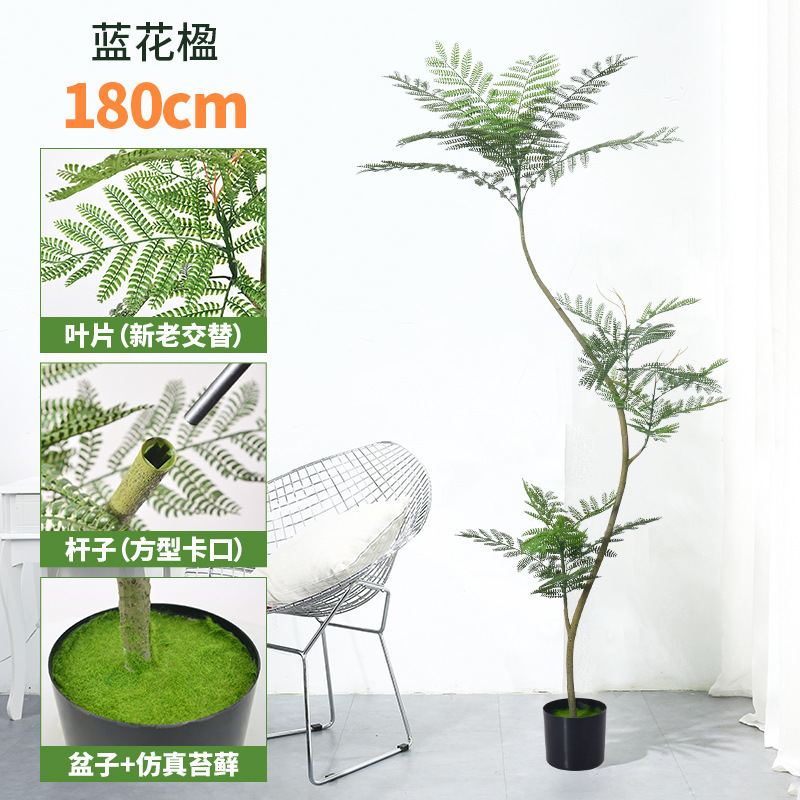 蓝花楹仿真绿植落地盆栽仿生植物摆件室内客厅沙发旁装饰盆景假树|undefined