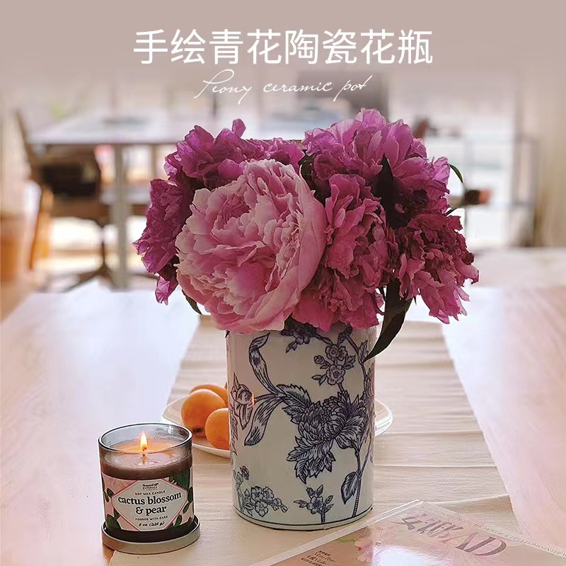 新品新中式中国风青花瓷高温青花瓷玄关电视柜陶瓷花瓶摆件装饰品