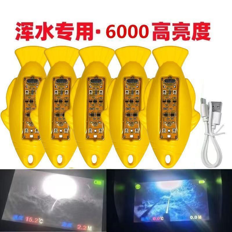 Visual high-light float for night fishing, ultra-bright in dark water, new model that doesn't startle fish, full-bright floating ball high-light fish finder