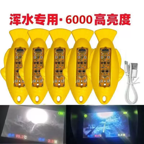 Visual high-light float for night fishing, ultra-bright in dark water, new model that doesn't startle fish, full-bright floating ball high-light fish finder
