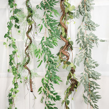 �����쾰���������e��ͥԺ��@�L��ʽ��h��ֲ��Ǆ������