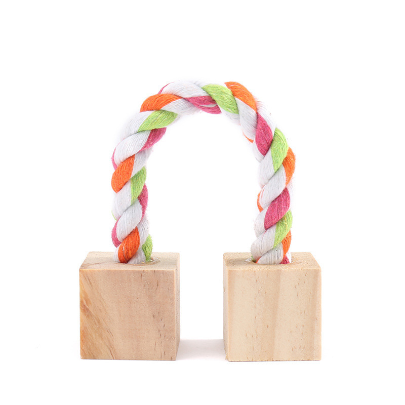 어금니 작은 사각형