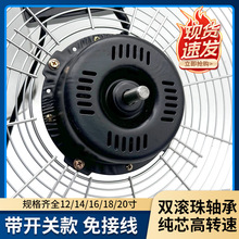 ſ�����R�_�C�^���I��L��������̨�Ⱦ�Ȧ늙C18���20��