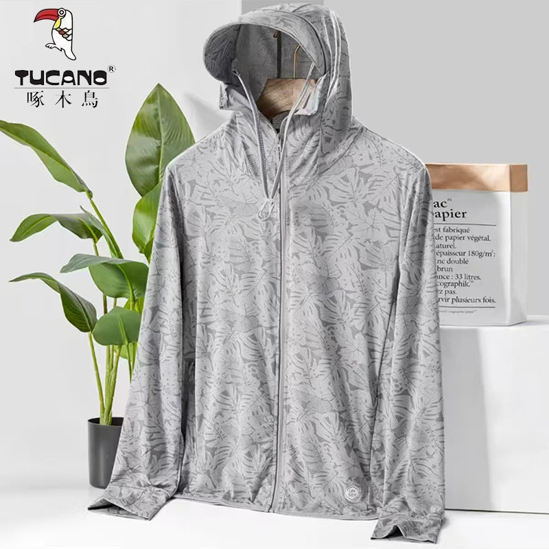 수컷 단풍잎 회색