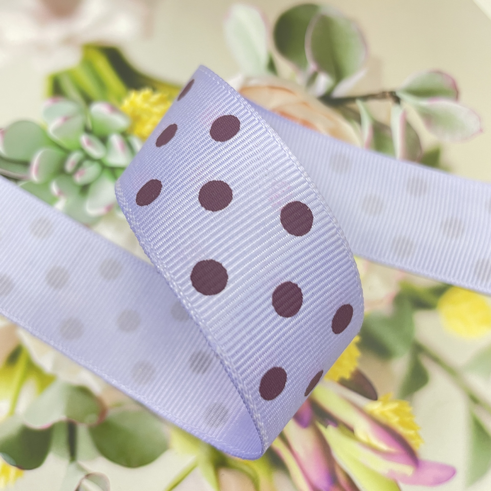 f1218839e2e8e4447be40d5dc03083