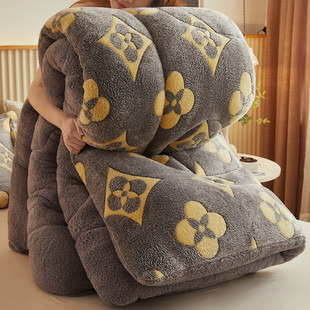 Double-sided Velvet Winter Quilt Thickened Ten Jin Quilt Core Warm-keeping Lamb Velvet Household Student Dormitory Single Winter Quilt Quilt Quilt