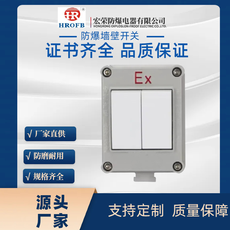 明装暗装防爆开关工业电源三防墙壁开关化工双控开关明装开关防水