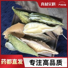 ��ˏ��ˏ����ˏ���콬����Ģ������Ħ����ˮ�Ĺ�Ч�����ú����