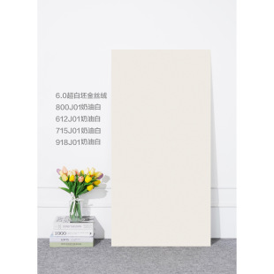 ����ɫ��z�q�ɴu600X1200�͏d�شu����l���g���u���������u