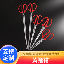 �S�X�A�X�~�Qץ�~���q�з�A���Q�������A���s���������L�X�A���l