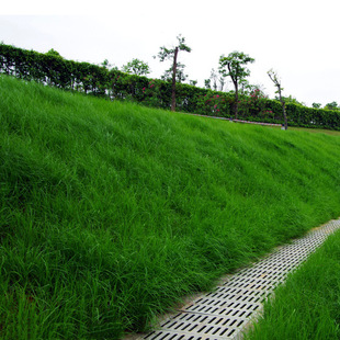 ��ƺ�N�Ӳ����ļ������ͺ����޼��G����Ƥ�����ݷN��ͥԺ�o�¹���