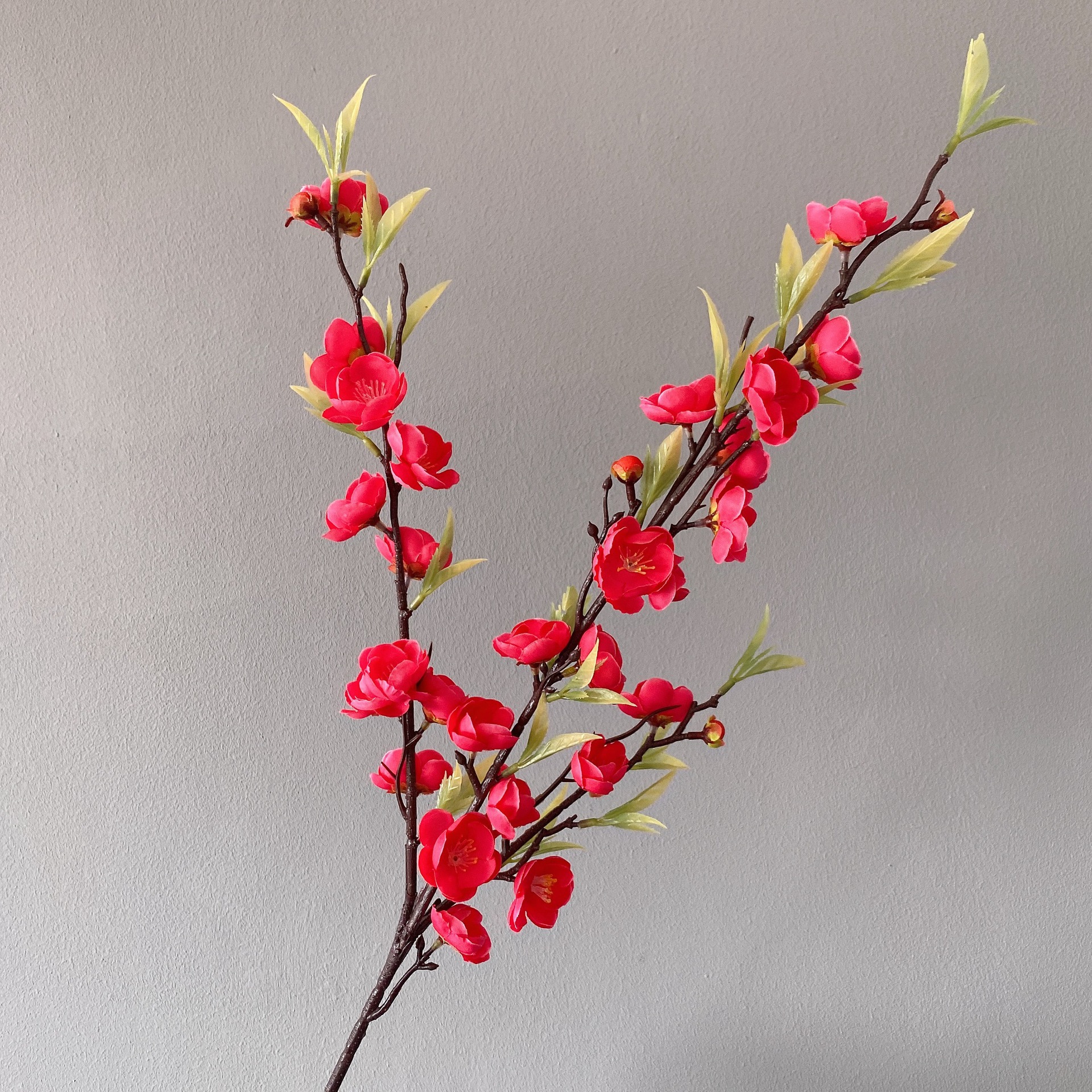 세 갈래의 녹색 잎 매화 장미 빨간색( 94cm )