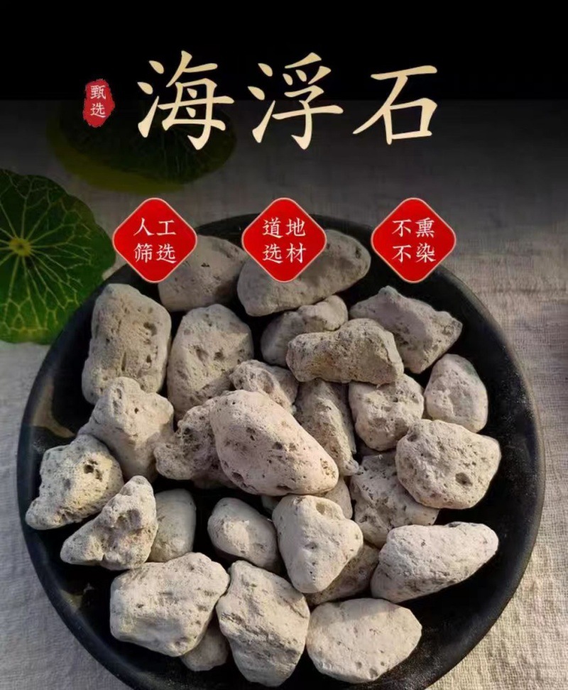 Hai Fu Shi (Pumice / Costazia aculeata) — Dried Mineral Herb for TCM Decoction overview