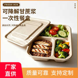 三格850ml餐盒一次性餐盒带盖打包盒可降解三格快餐盒子分格饭盒