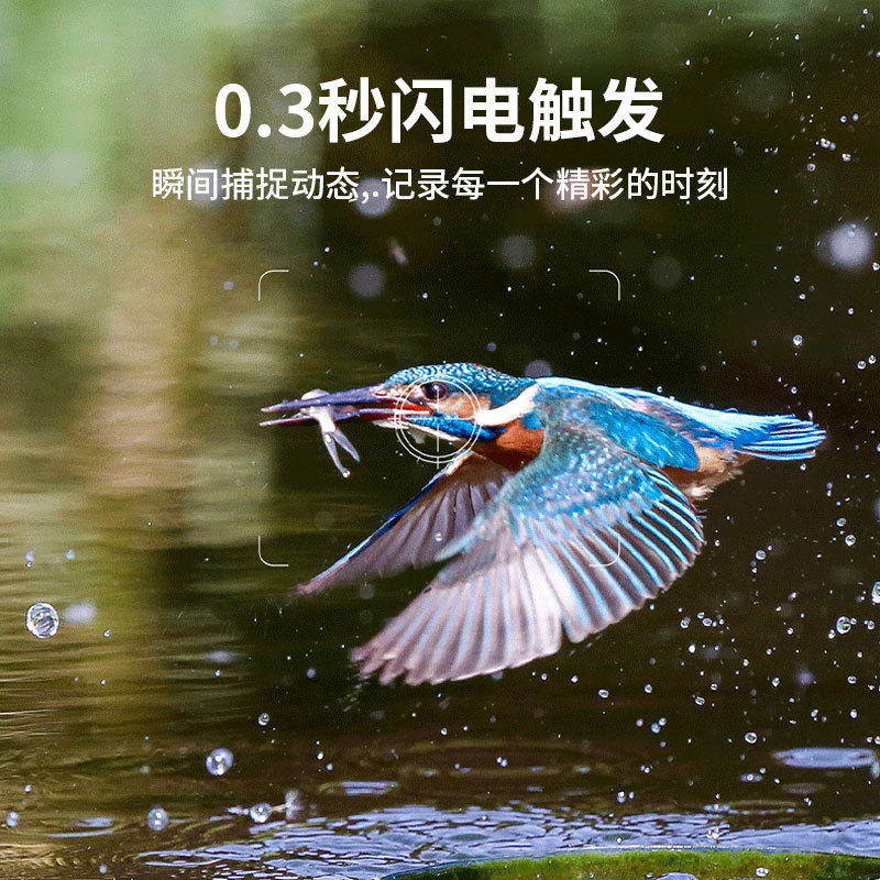 Nueva Cámara animal infrarroja transfronteriza 4 millones de cámaras de detección de campo remoto Cámara HD 4G Monitor