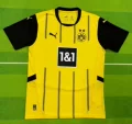24-25 Dortmund Home