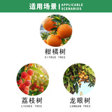 全树 Фруктово-гиббереллиновая кислота 28 с высоким содержанием брассинолида улучшает завязывание плодов пестицид регулятор роста растений 10 мл