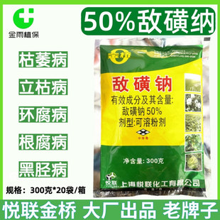 �����50%�����c���ݲ���ή���������h�������������rș������