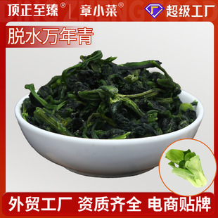 ����5g�f����˸�Óˮ�߲��ϙ�˸ɲ�Óˮ�����Ͳ˸�