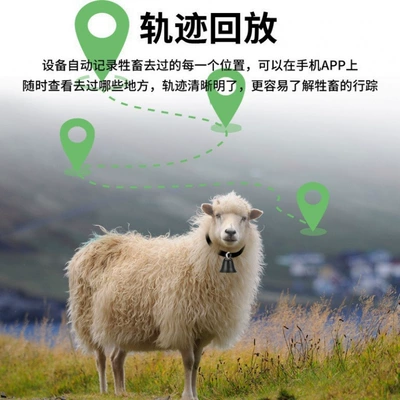Grassland, Waterproof Gps Beidou Wifi – GPS Locator