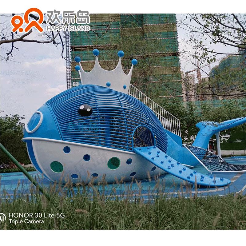 Wooden House Stainless Steel Kidsren's Combination Slide Manufacturer Whale Shape Kidsren'S游乐设备规划、设计和安装