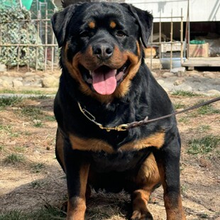 ���l���N�_���{���w��Ȯِ���_���{���̴��w�_���{�o�lȮ���ﹷ��