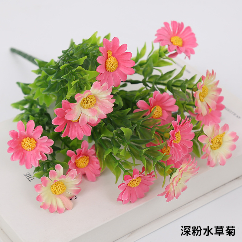 Crisantemo acuático rosa intenso