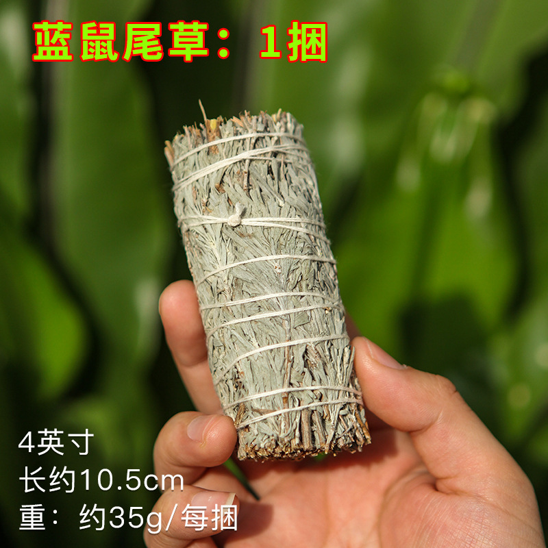 国境を越えた卸売り白鼠尾草青鼠尾草雪松杖聖木線香塔香アワビ殻などホワイトセージ|undefined