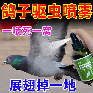 �B�w����xʭ�\����������ʭ�\�x�����x�坍��ë��������ȫ