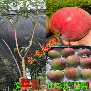 â��������â���ļ���â����â��â������������l�޽ӹ�����